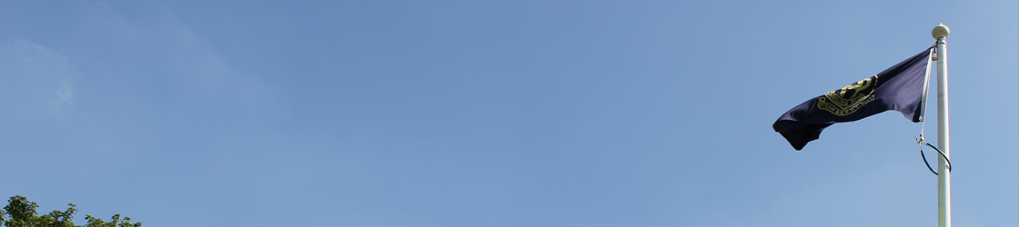 galleries_1120x250